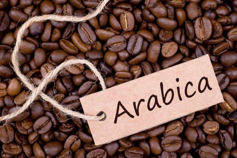 Arabica Coffee Beans 768x512 1 قهوه عربیکا: کیفیت برتر و طعمی متفاوت